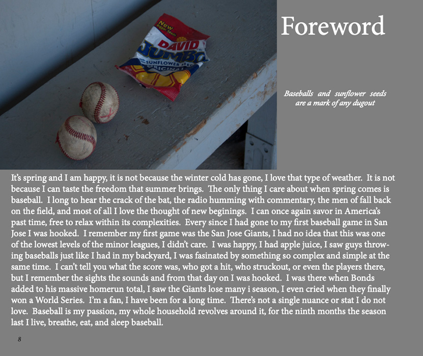 Book by James Brewer